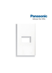 Panasonic 1 port